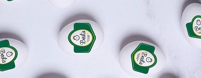 75534214_486943675262458_5137538101737118761_n